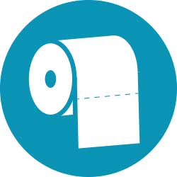 toilet paper, restroom, porta potty
